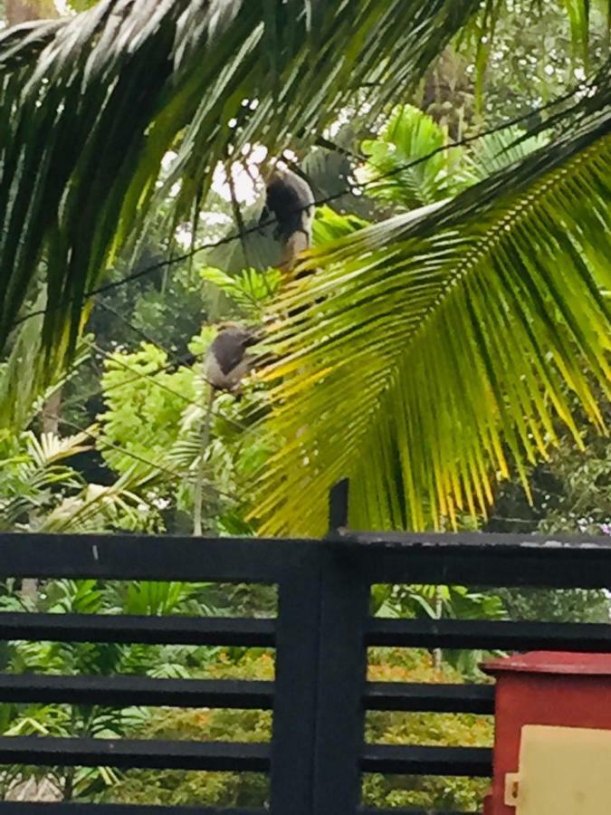 My Home Villa Hikkaduwa Ngoại thất bức ảnh